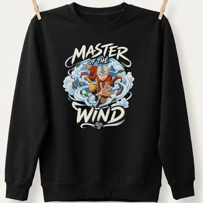 Cartoon design of Aang from Avatar with text 'MASTER OF THE WIND' — printed on a unisex sweatshirt