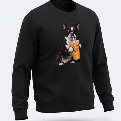 Funny illustration of a Boston Terrier holding iced coffee with a playful expression — printed on a unisex sweatshirt