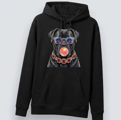 Realistic Cane Corso dog in rainbow sunglasses blowing bubble gum, vibrant colors — printed on a unisex hoodie