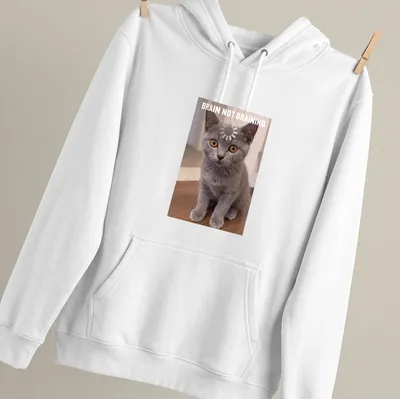 Realistic print of a Chartreux kitten with the text 'BRAIN NOT BRAINING' in gray, orange, and white. — printed on a unisex hoodie