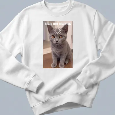 Realistic print of a Chartreux kitten with the text 'BRAIN NOT BRAINING' in gray, orange, and white. — printed on a unisex sweatshirt