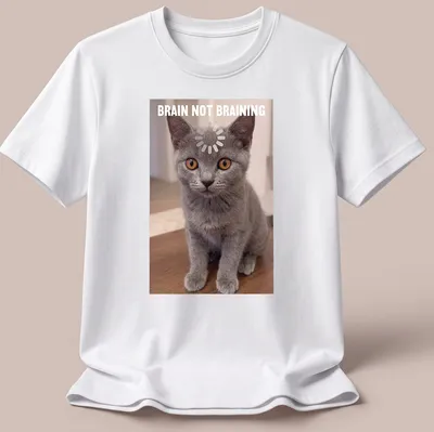 Realistic print of a Chartreux kitten with the text 'BRAIN NOT BRAINING' in gray, orange, and white.