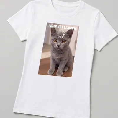 Realistic print of a Chartreux kitten with the text 'BRAIN NOT BRAINING' in gray, orange, and white. — printed on a women's shirt