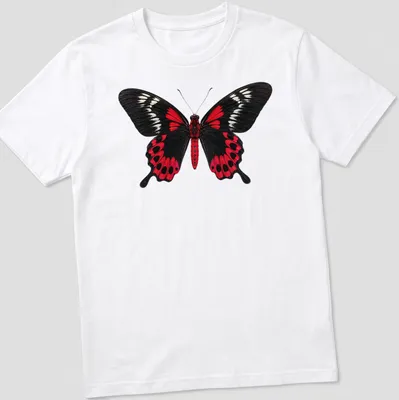 Realistic print of a Crimson Rose Butterfly on a black background with red and white details.