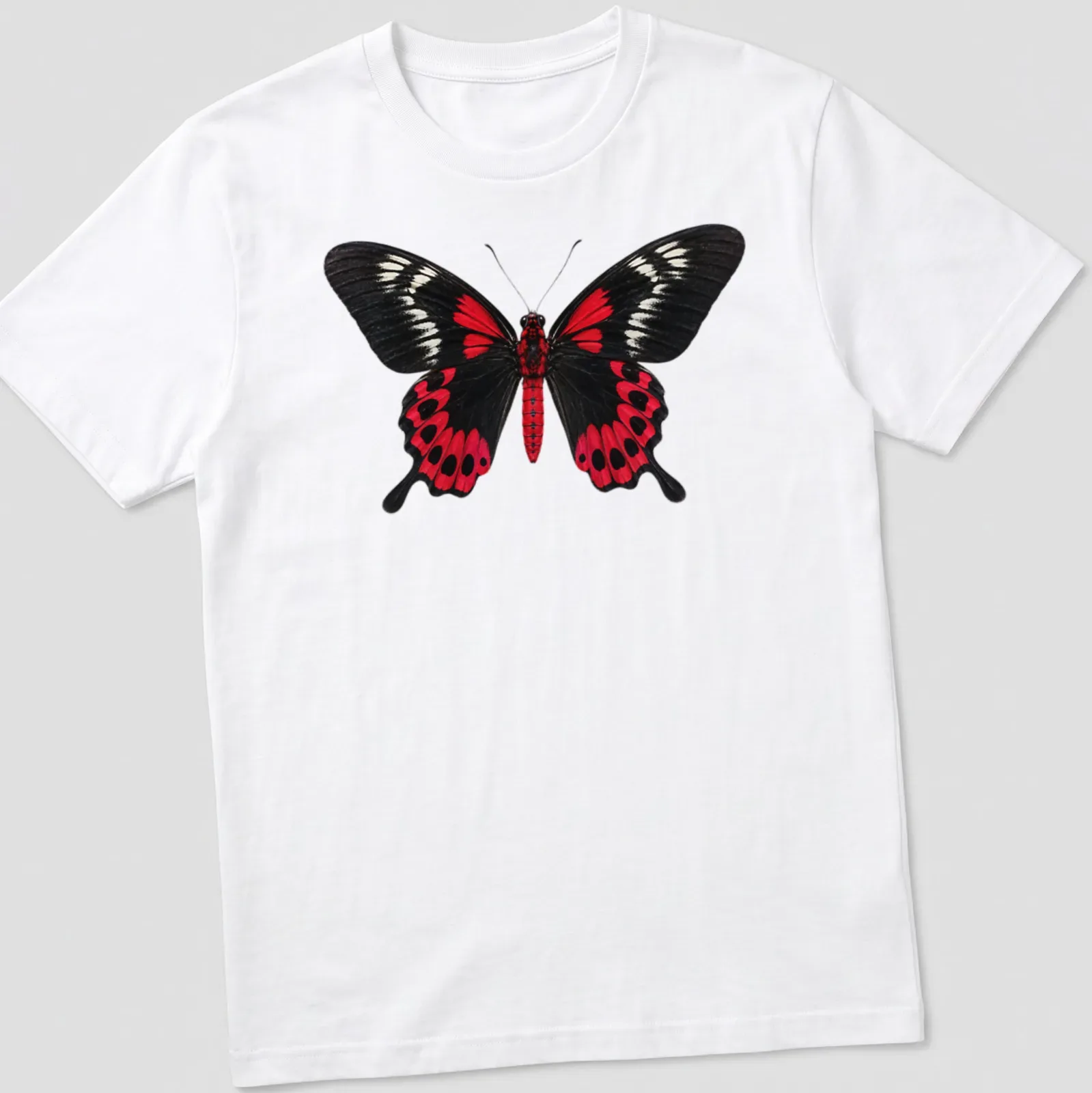 Realistic print of a Crimson Rose Butterfly on a black background with red and white details. — printed on a unisex t-shirt