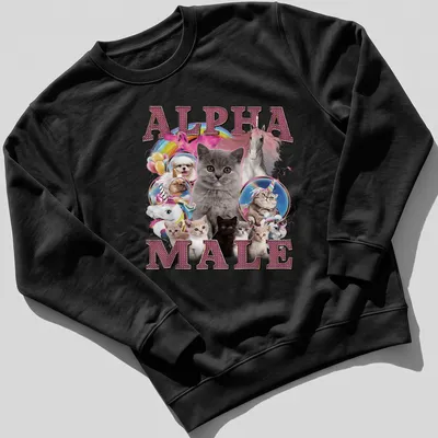 Colorful shirt featuring cute cats around the text 'ALPHA MALE' in playful font — printed on a sweatshirt