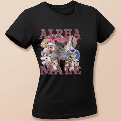 Colorful shirt featuring cute cats around the text 'ALPHA MALE' in playful font — printed on a women's t-shirt