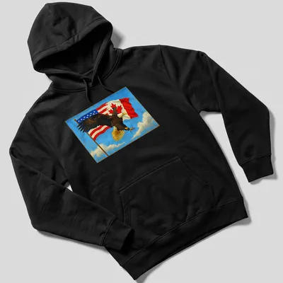 Vibrant illustration of an eagle with Canada and US flags in red, white, and blue — printed on a unisex hoodie