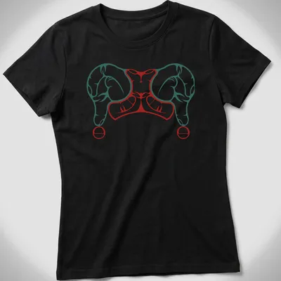 Bold graphic of a harlequin hat in red, teal, and white colors — printed on a women's shirt