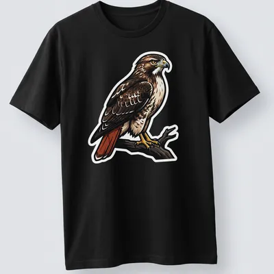 Illustration of a Red Tailed Hawk perched on a branch, featuring brown, red, and cream colors